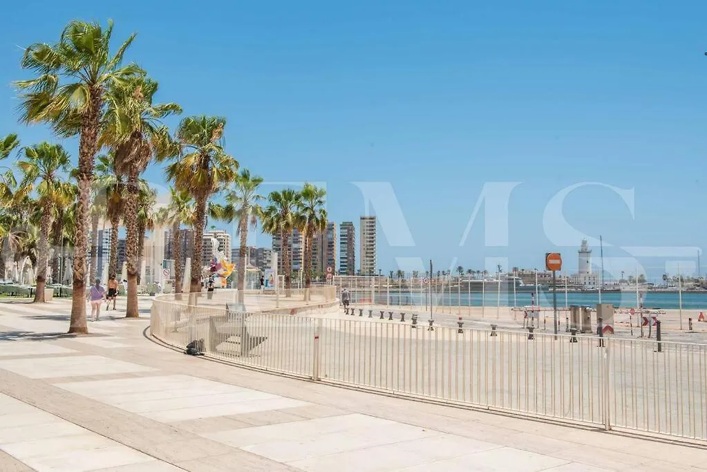 Spacious & Authentic Apartment By Rems Malaga